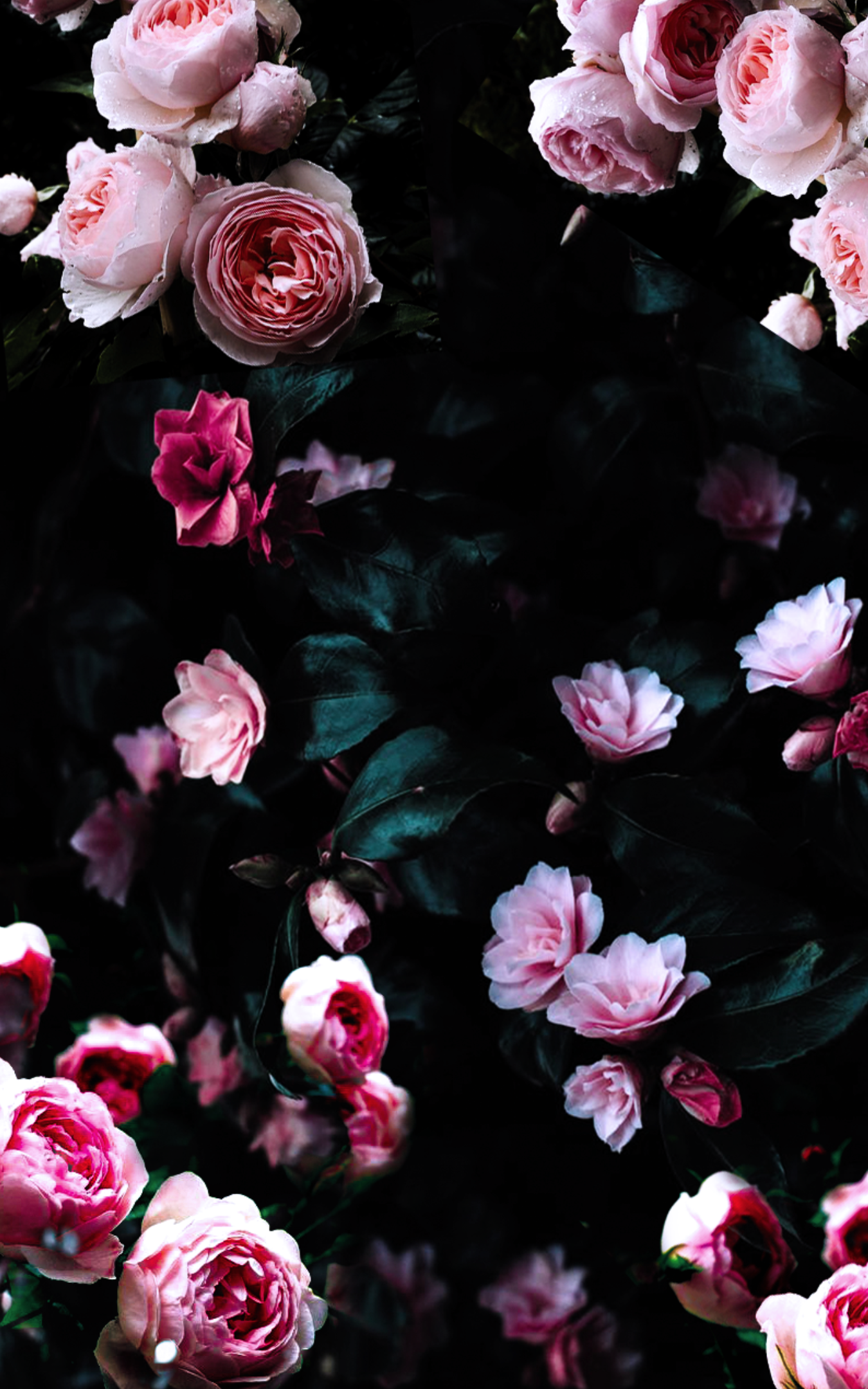 Dark Floral Iphone Background - HD Wallpaper 