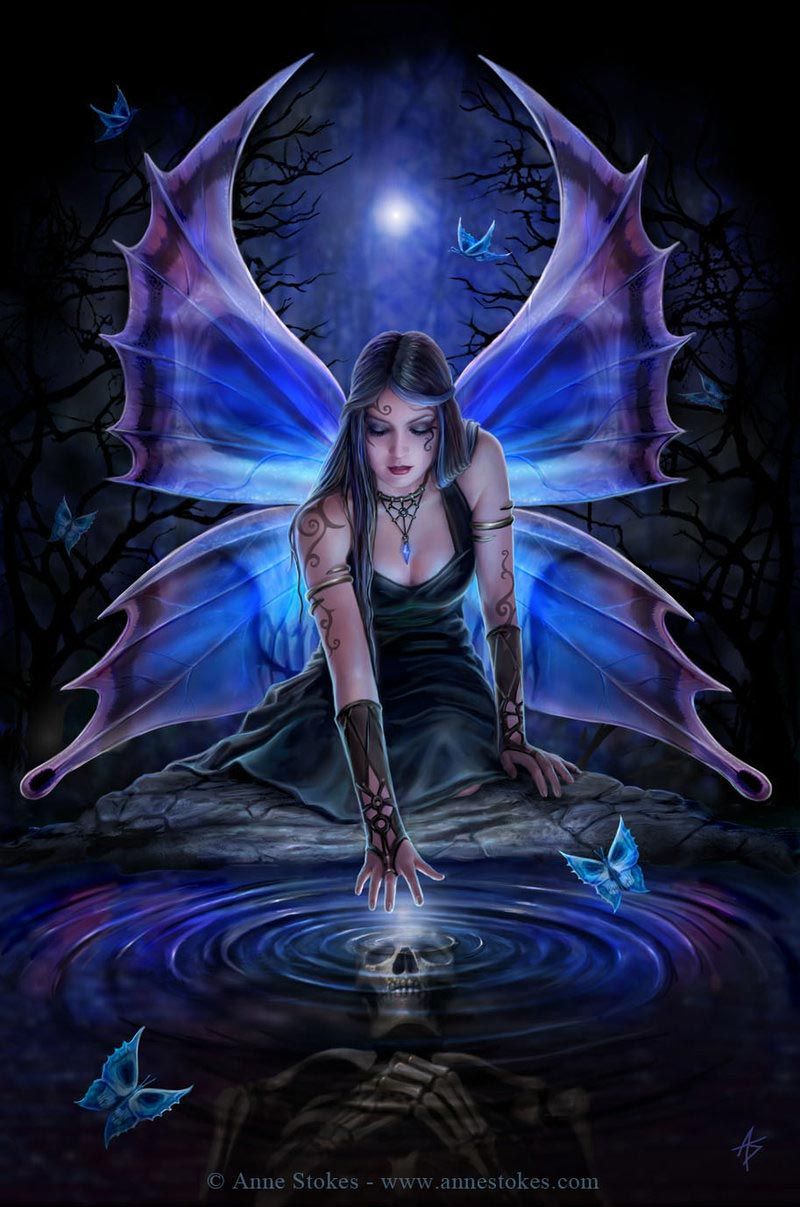 Anne Stokes Immortal Flight - 800x1207 Wallpaper Anne Stokes Immortal Flight - 800x1207 Wallpaper