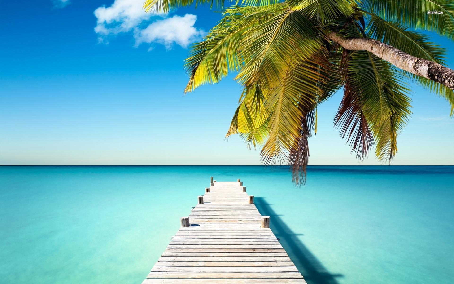 Turks And Caicos Iphone - HD Wallpaper 
