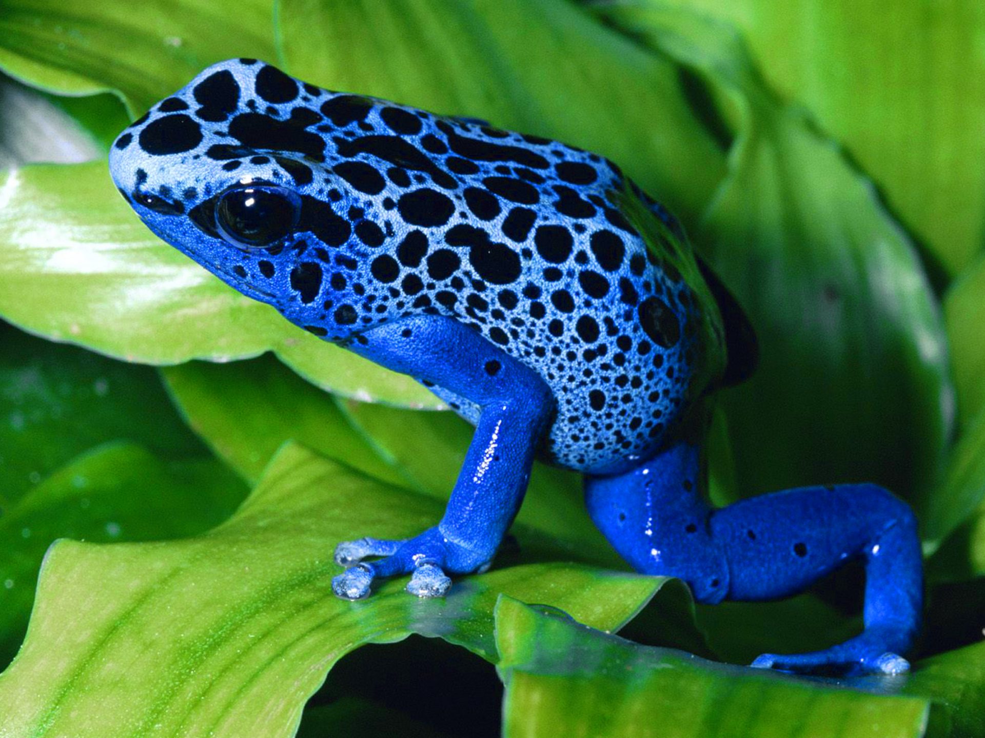 Unusual Wallpaper - HD Wallpaper 