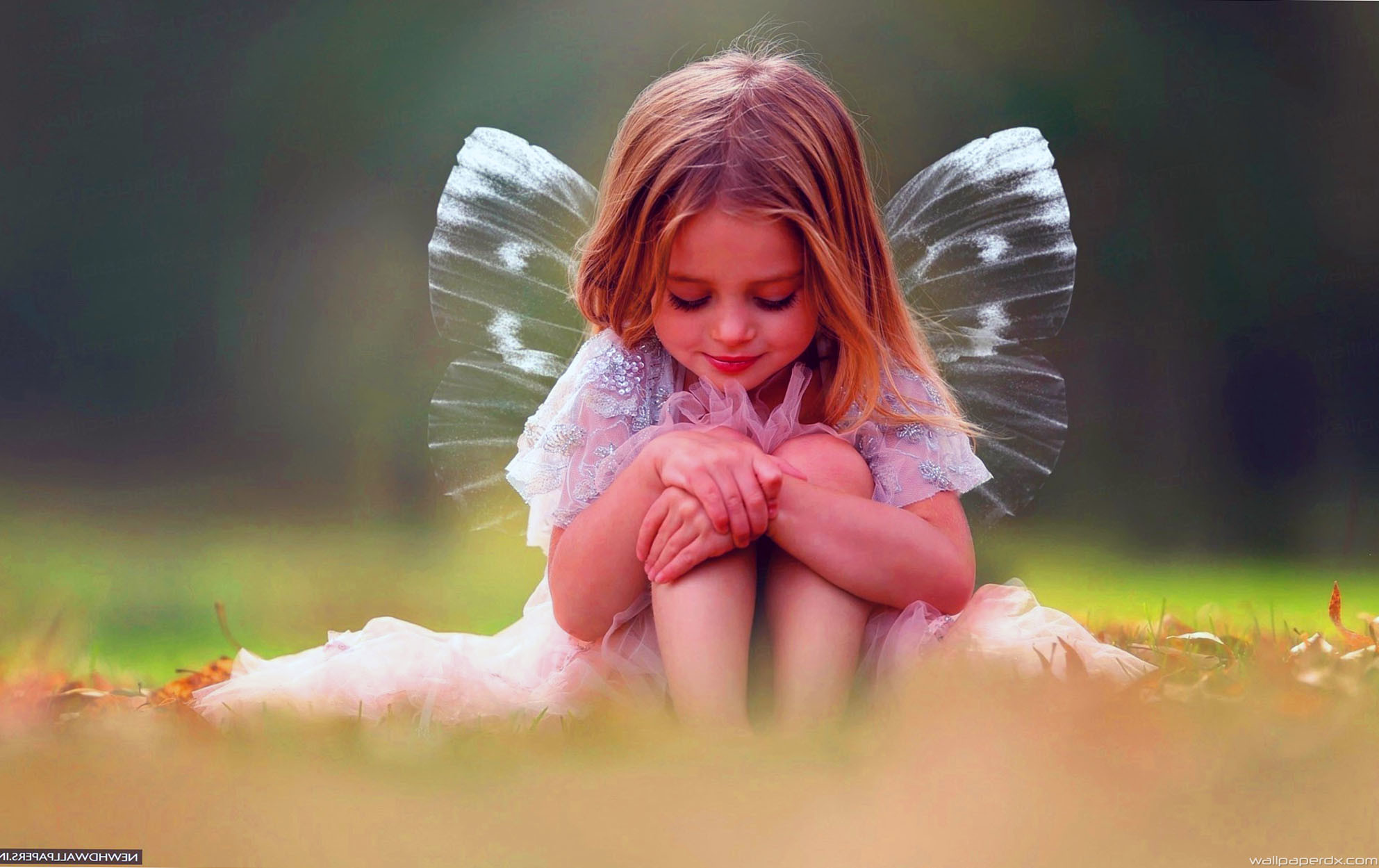 Elegant Beautiful Fairies With Wings Wallpapers For - Beautiful Cute Fairy - 1985x1249 Wallpaper Elegant Beautiful Fairies With Wings Wallpapers For - Beautiful Cute Fairy - 1985x1249 Wallpaper