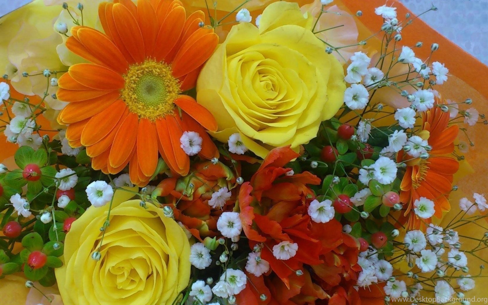 Lovely Flowers Wallpaper - Baby's-breath - HD Wallpaper 
