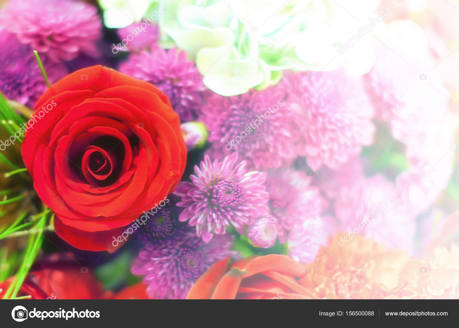 Wallpaper - HD Wallpaper 