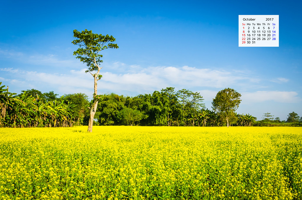 October 2017 Calendar Desktop Wallpaper Free Download - Sarso Ka Khet Hd - HD Wallpaper 