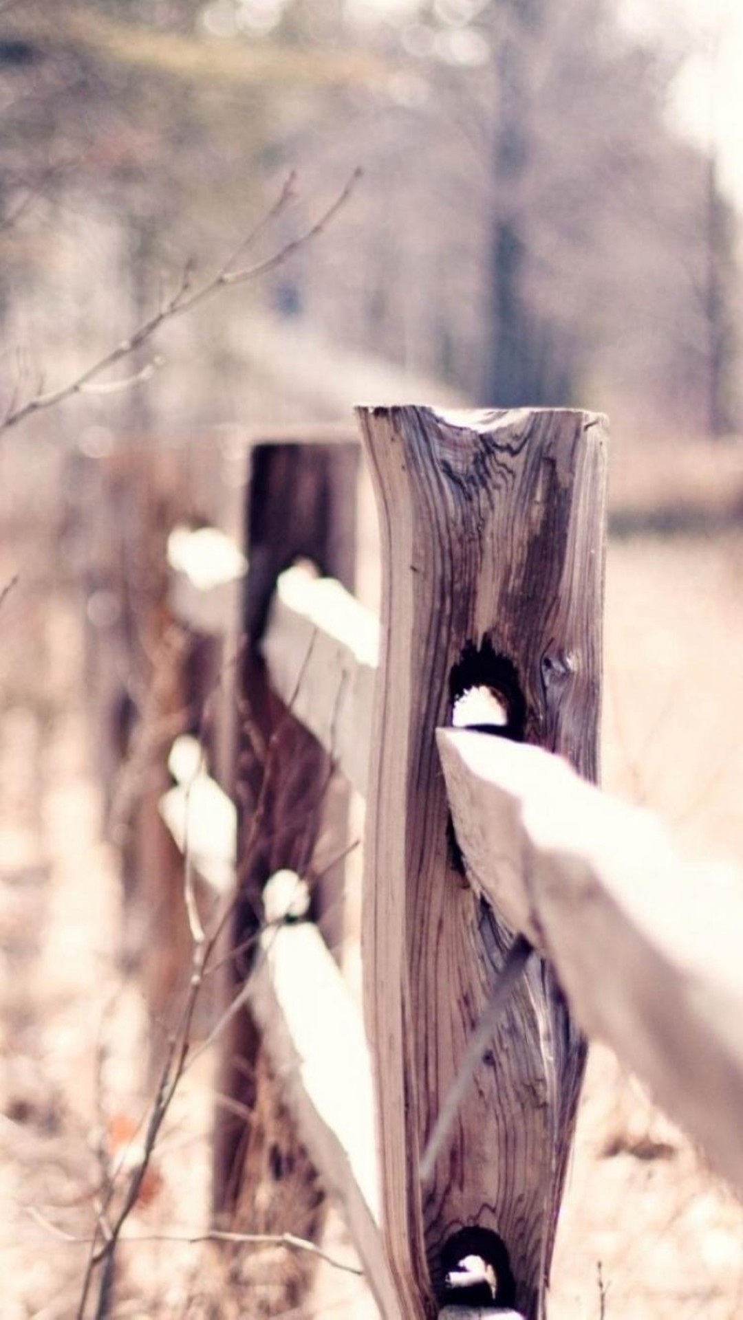 Country Suburban Forest Fence Bokeh Iphone 8 Wallpaper - Gotas De Sentido Ziza Fernandes - HD Wallpaper 