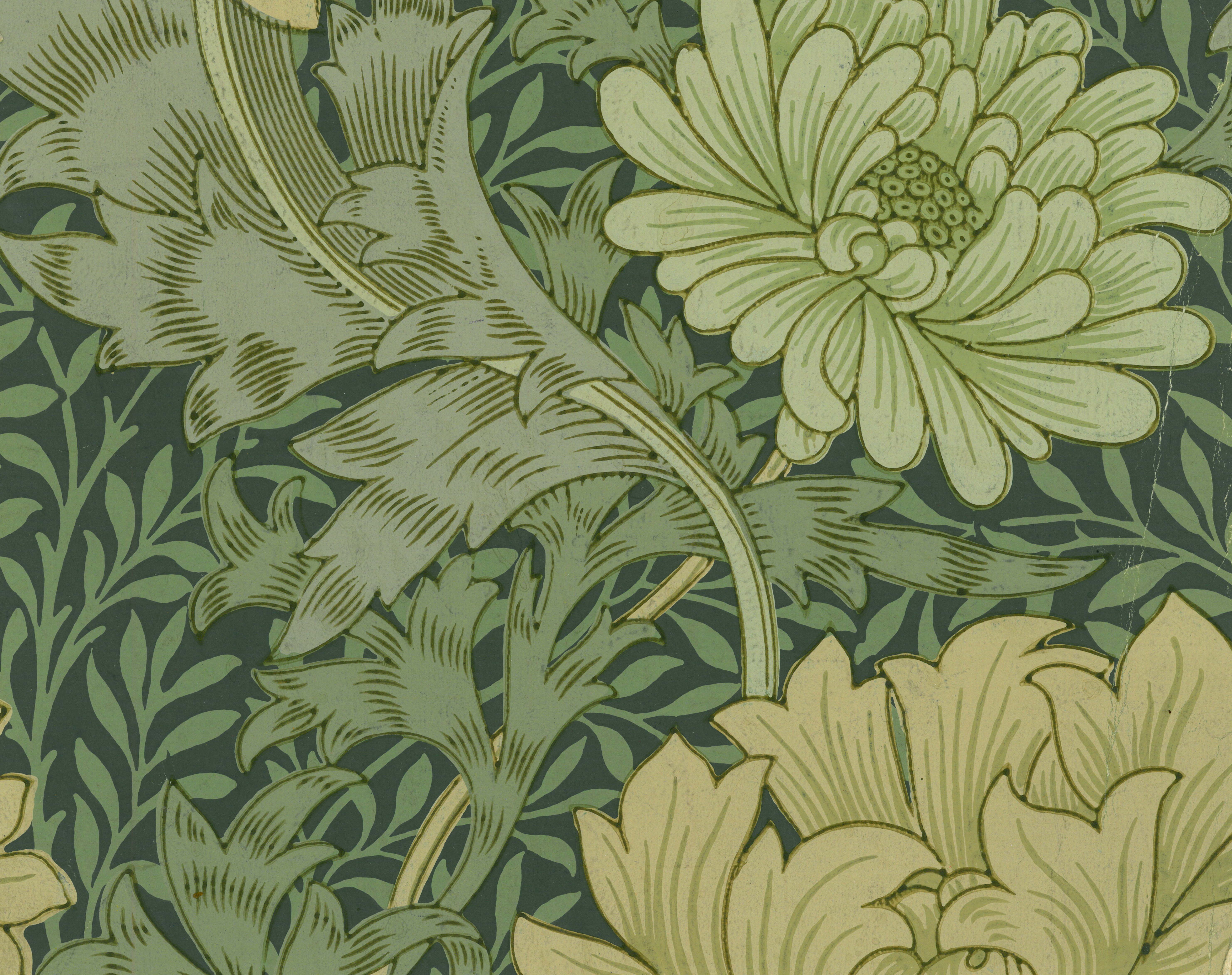 Wallpaper Samples - HD Wallpaper 