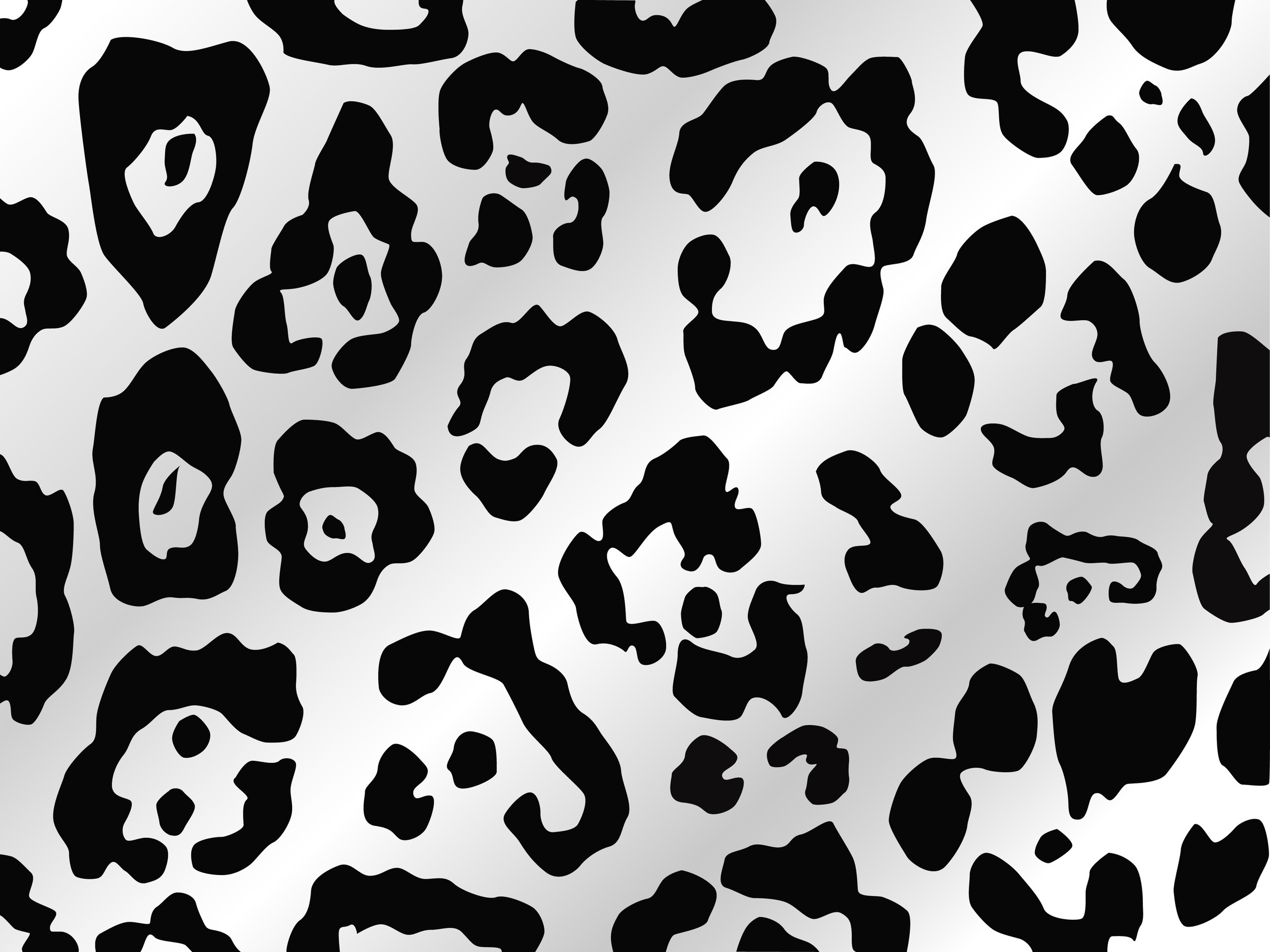 2556x1917, Related Wallpapers - Cheetah Print Coloring Pages - HD Wallpaper 