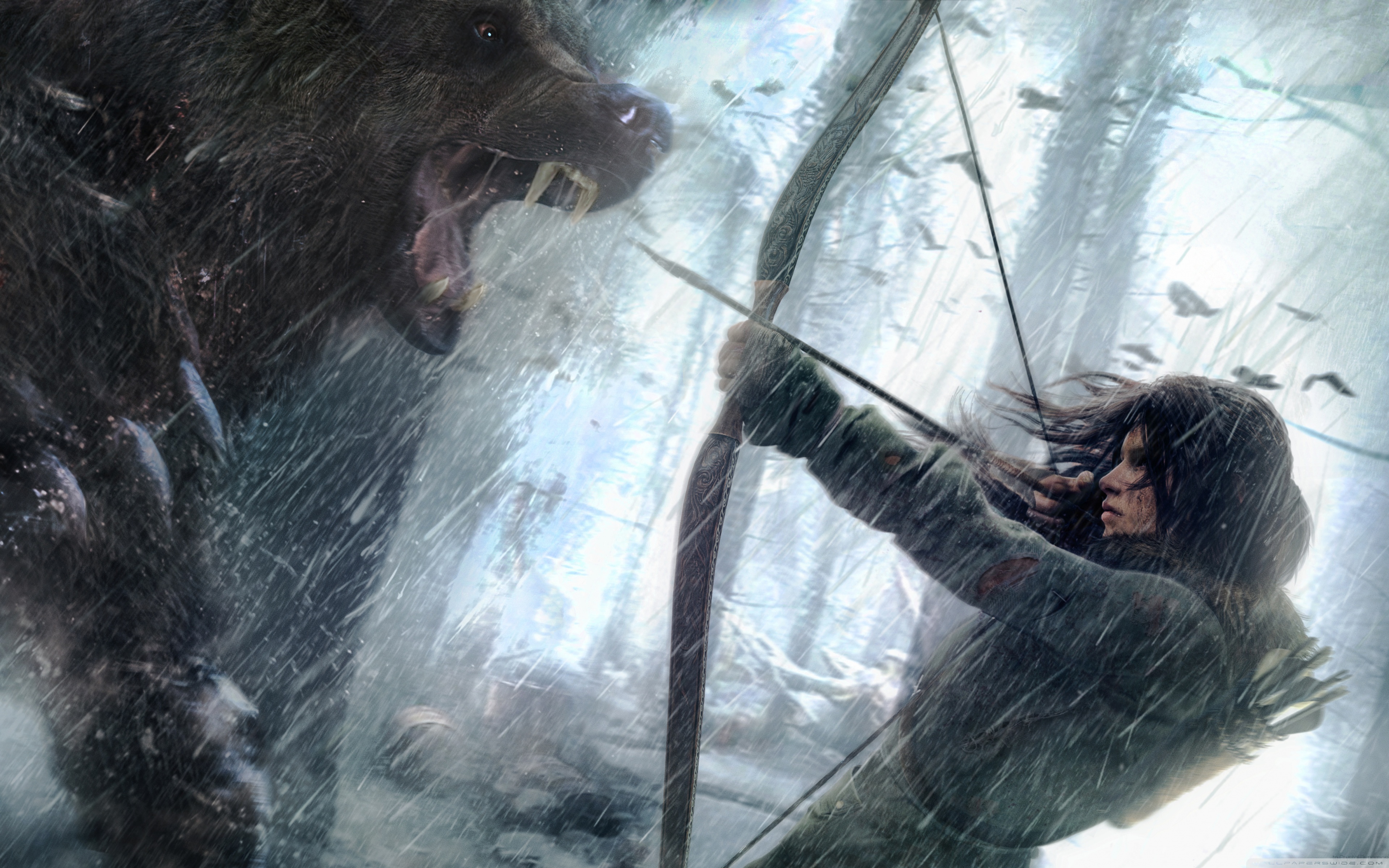Rise Of The Tomb Raider Fight - HD Wallpaper 