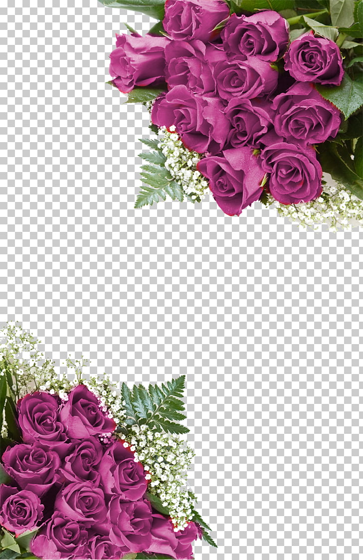 Rose Personality - HD Wallpaper 