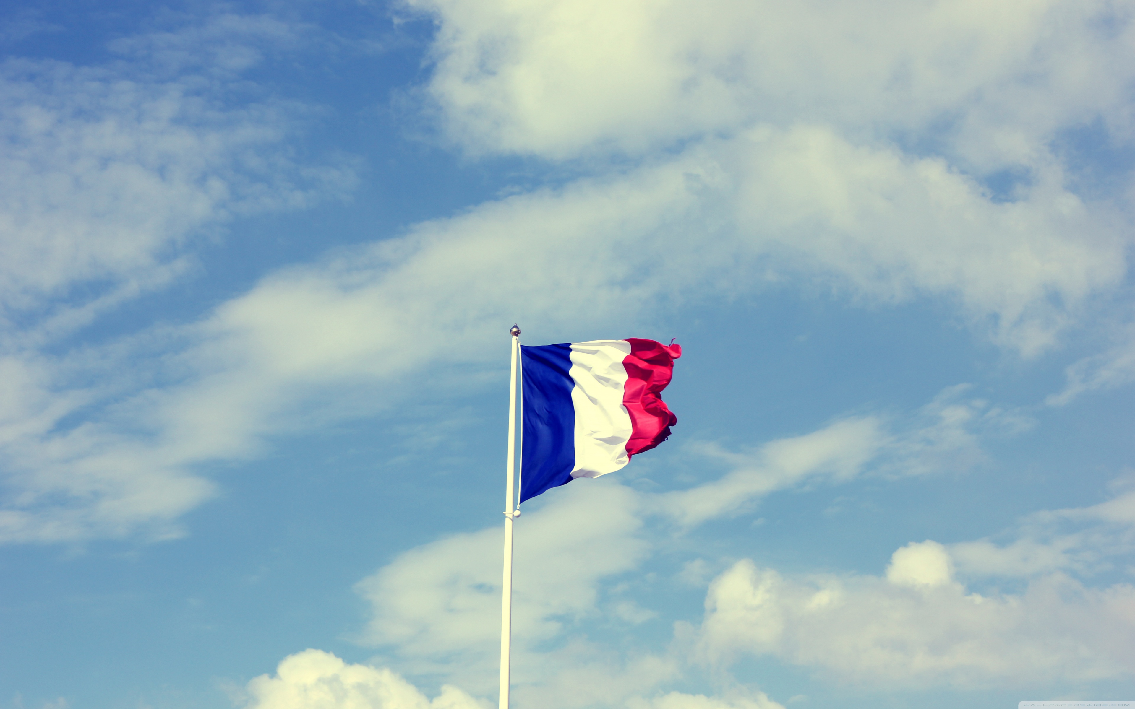 France Flag Wallpaper Hd - HD Wallpaper 