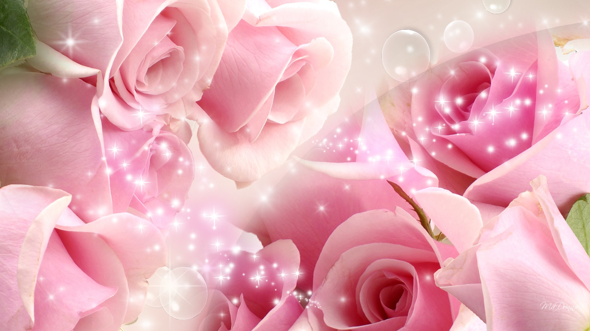 Flower Wallpaper Hd Images Best Of Love And Warmth - Rose Pink Flower  Background Hd - 1024x576 Wallpaper 