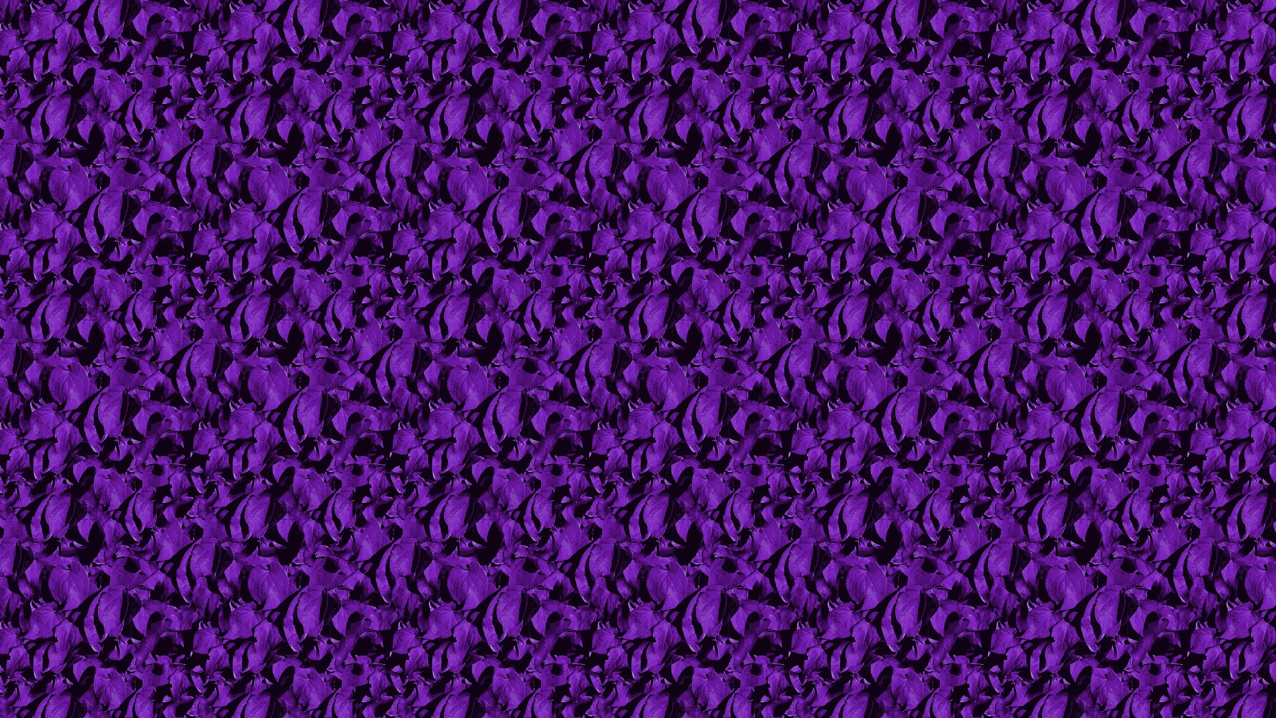2560x1440, Purple Paisley Wallpaper - Purple Paisley Background - HD Wallpaper 