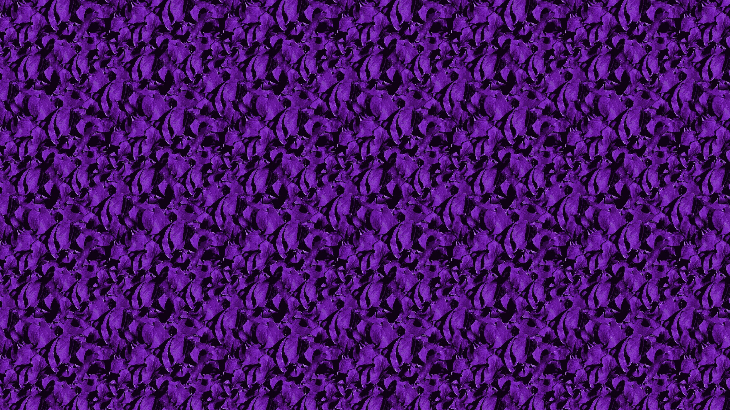 2560x1440, Purple Paisley Wallpaper - Purple Paisley Background - HD Wallpaper 