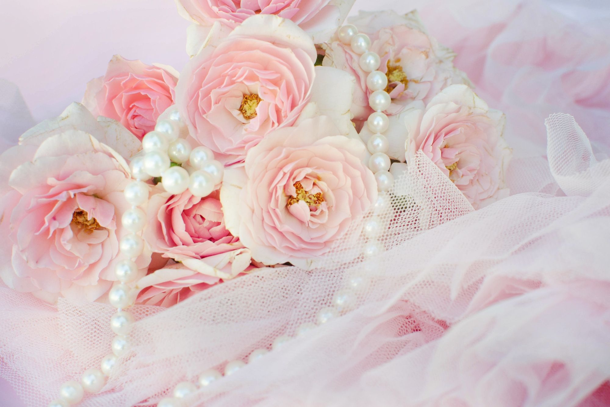 Pink Roses With Pearls - HD Wallpaper 