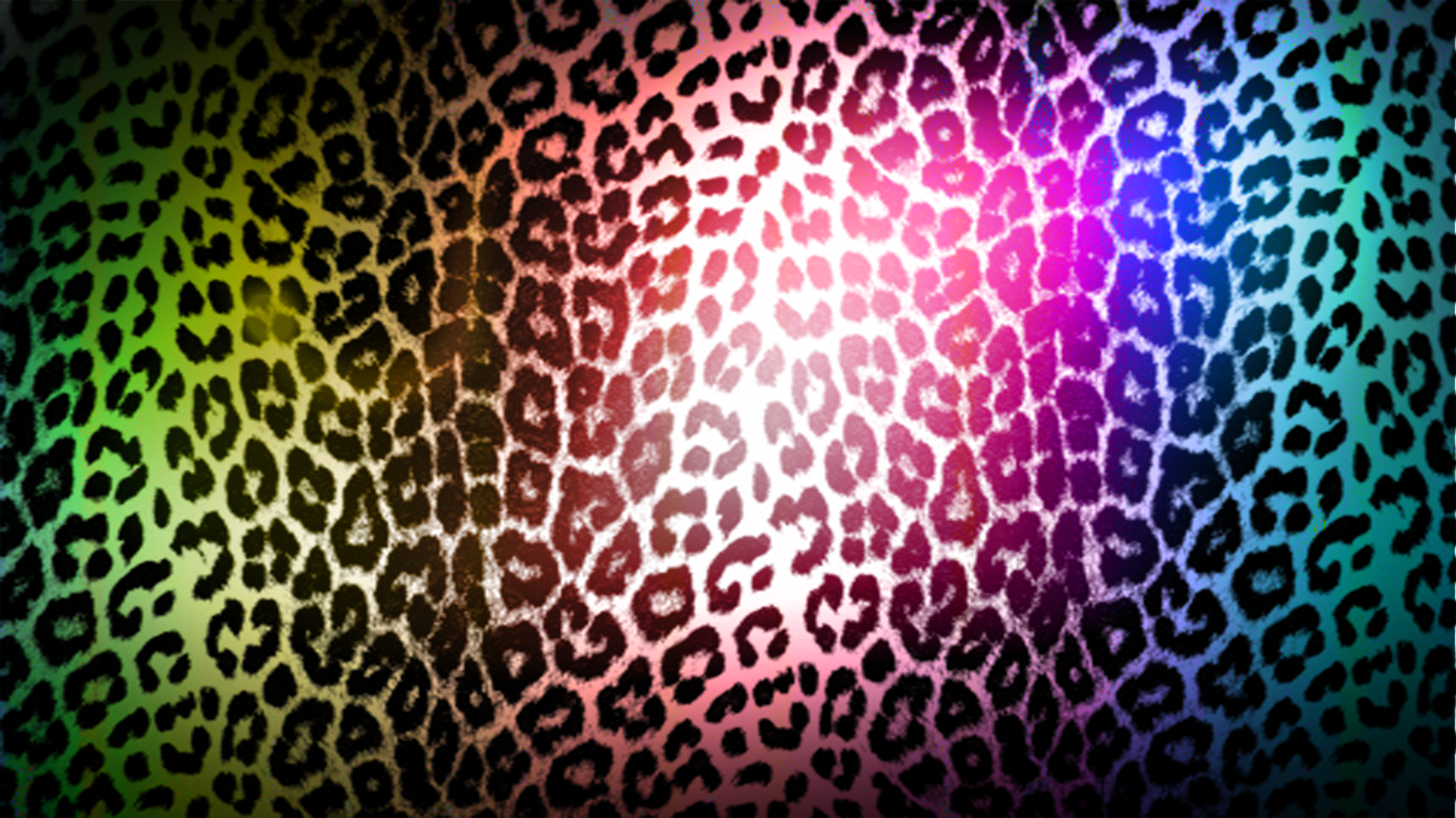 Zebra Print Wallpaper - HD Wallpaper 