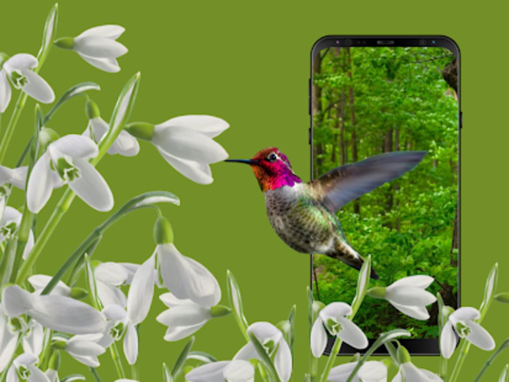 Realistic 3d Wallpaper - Tulip - HD Wallpaper 