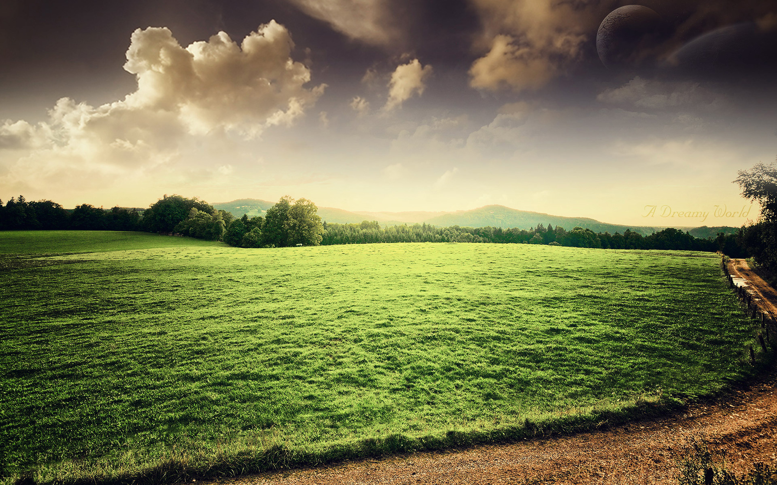 Wallpaper - HD Wallpaper 