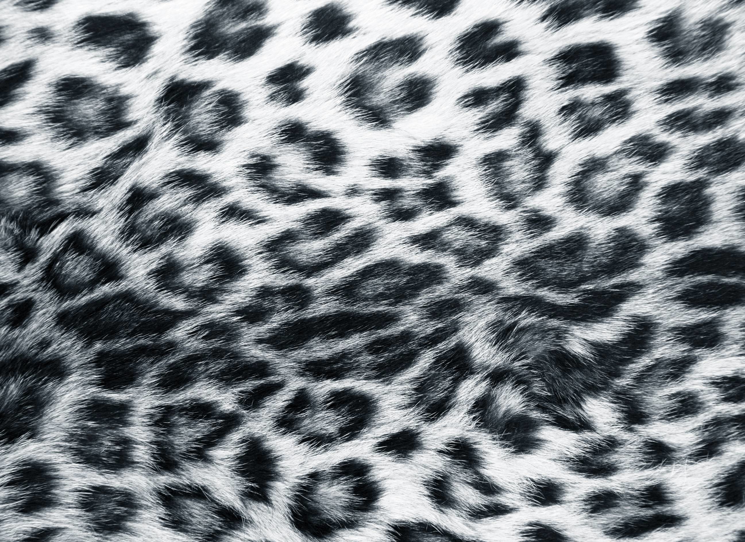 Leopard Wallpapers Grey Leopard Print Wallpaper - Snow Leopard Fur Background - HD Wallpaper 