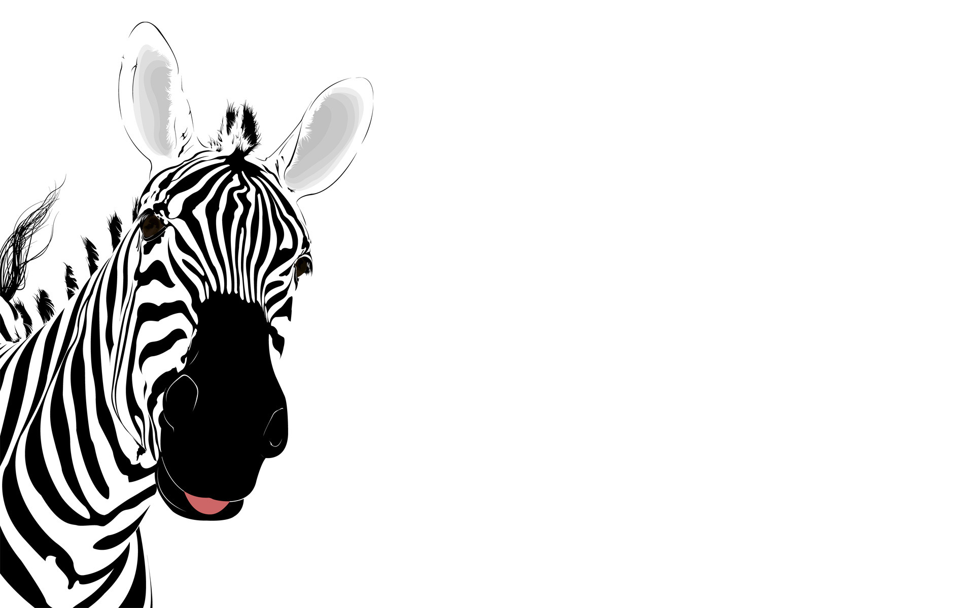 Zebra Wallpaper High Quality Hd - Wall Decal - HD Wallpaper 