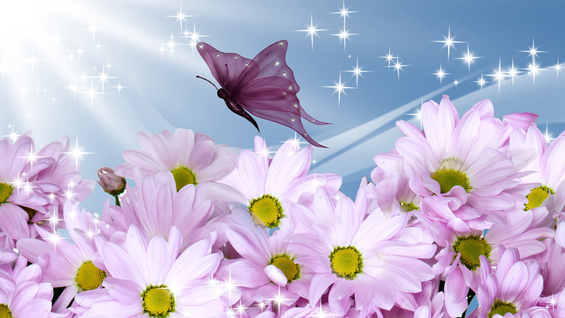New Hd Flowers Wallpaper Download - 1920x1080 Wallpaper New Hd Flowers Wallpaper Download - 1920x1080 Wallpaper