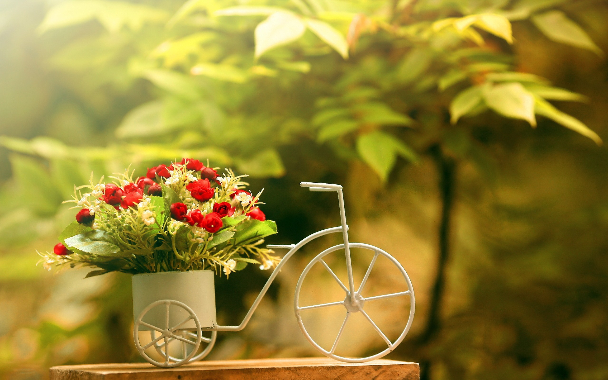 Bike, Cute, Flower - Beautiful Flowers - HD Wallpaper 