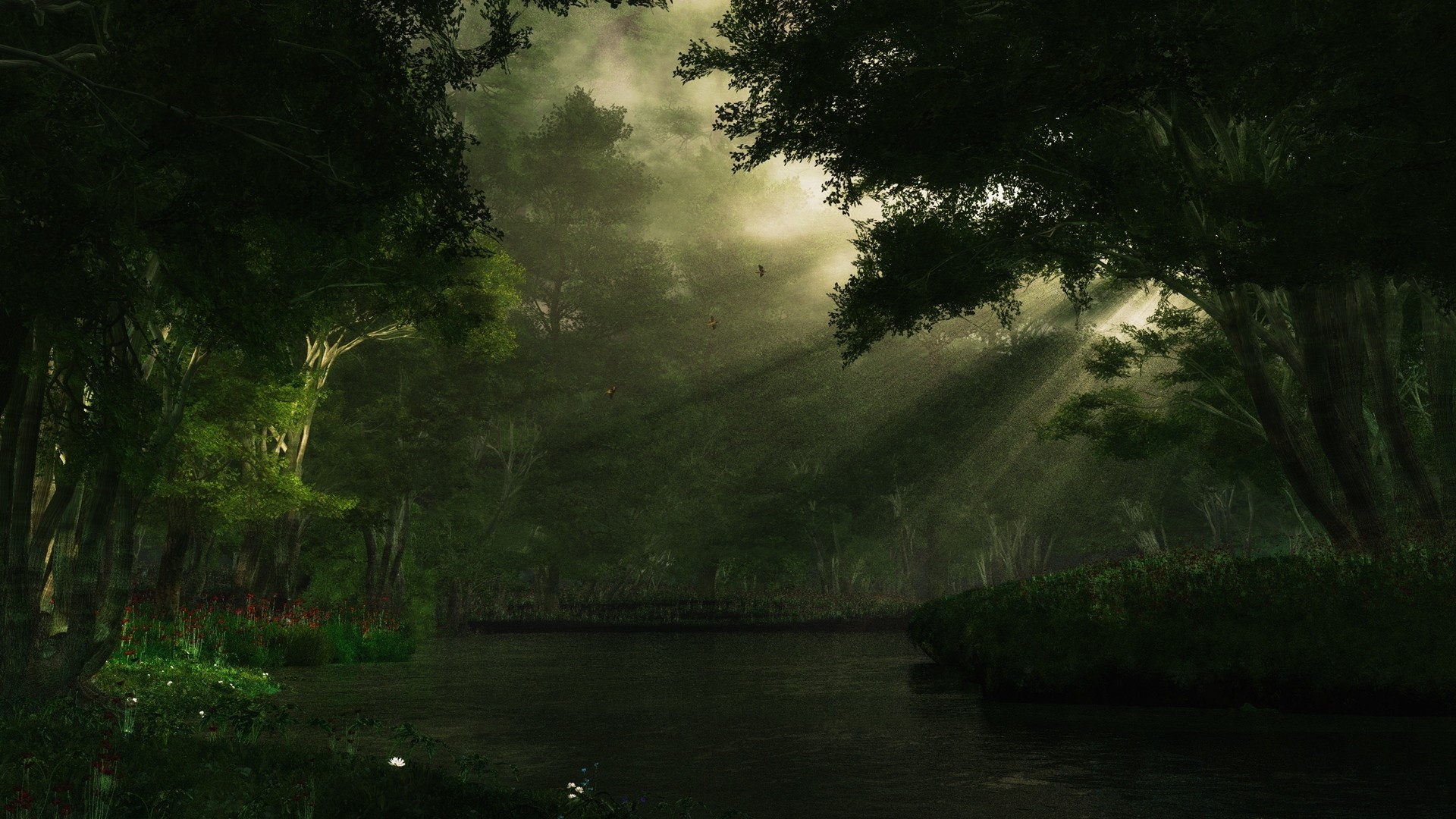 1920x1080, Digital Blasphemy Wallpaper 
 Data Id 15988 - Tree - HD Wallpaper 