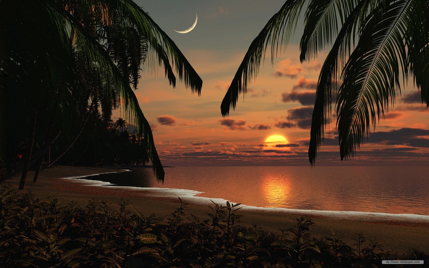 Wallpaper Free Nature Wallpaper 3d Landscape Desktop - Sun Beach Palm Trees - HD Wallpaper 