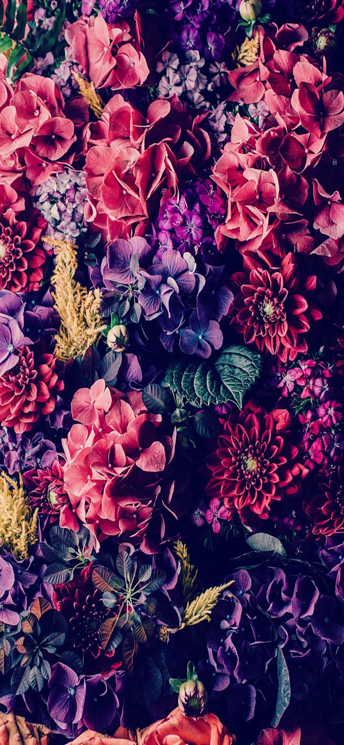 Floral Wallpaper For Iphone - Iphone Wallpaper Background - HD Wallpaper 