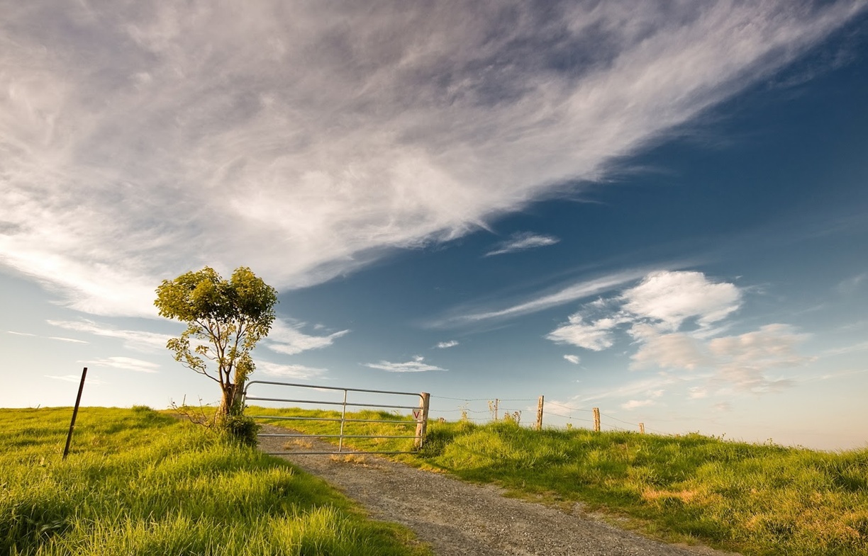 Desktop Free Download - HD Wallpaper 