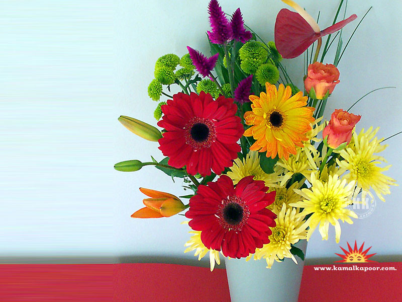 Kamal Flowers Full Hd - HD Wallpaper 