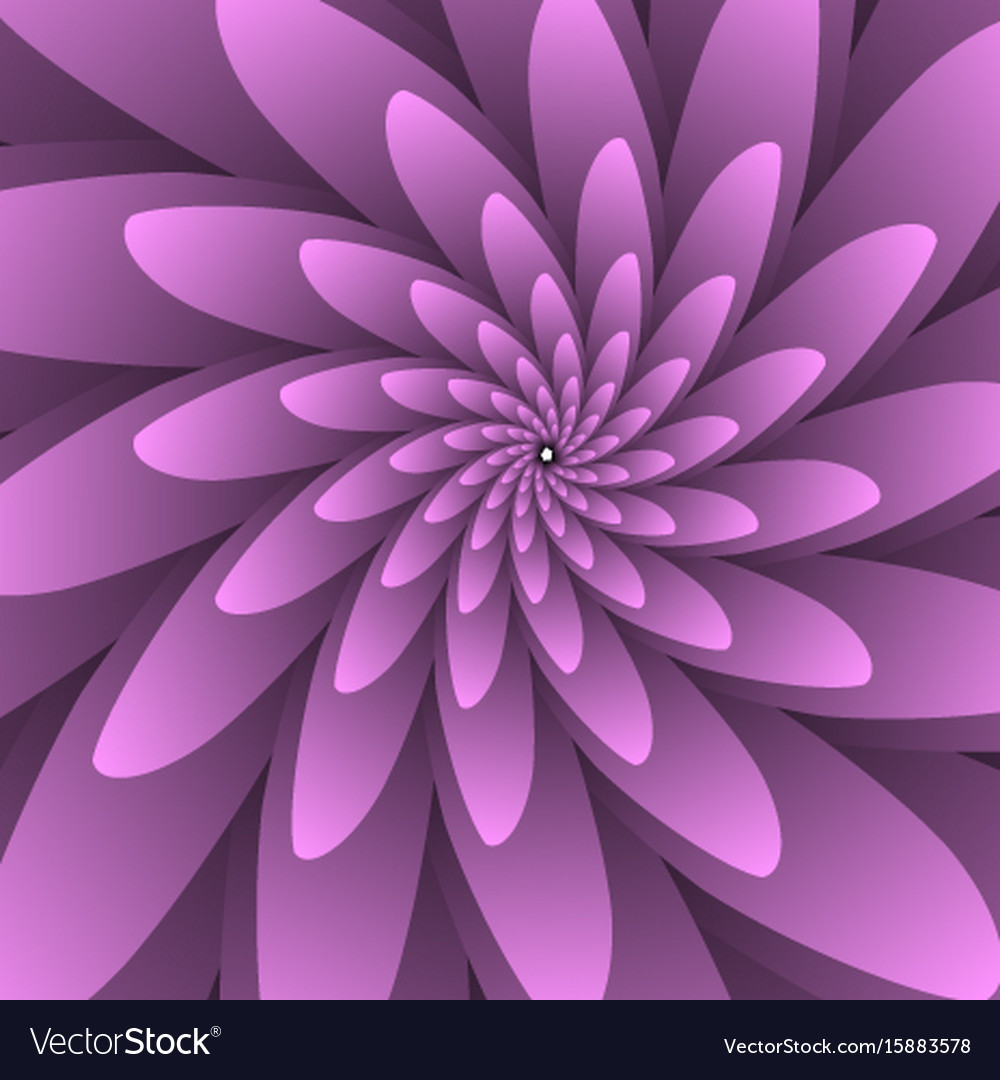 Dahlia - HD Wallpaper 