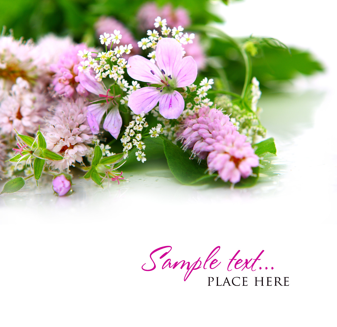 Hd Flowers Background Picture - Psalms 64 10 Kjv - HD Wallpaper 