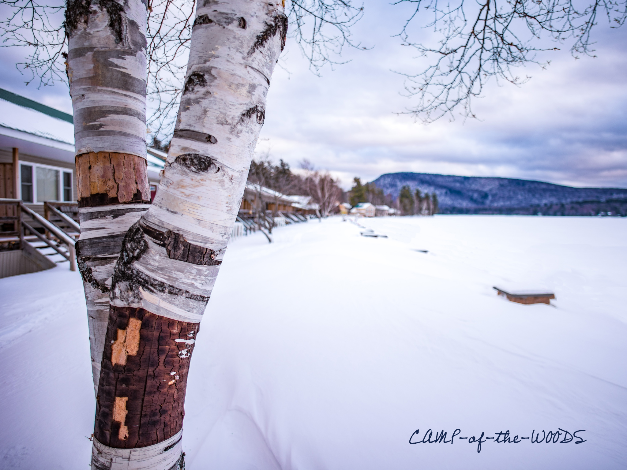 Digital Wallpaper - HD Wallpaper 