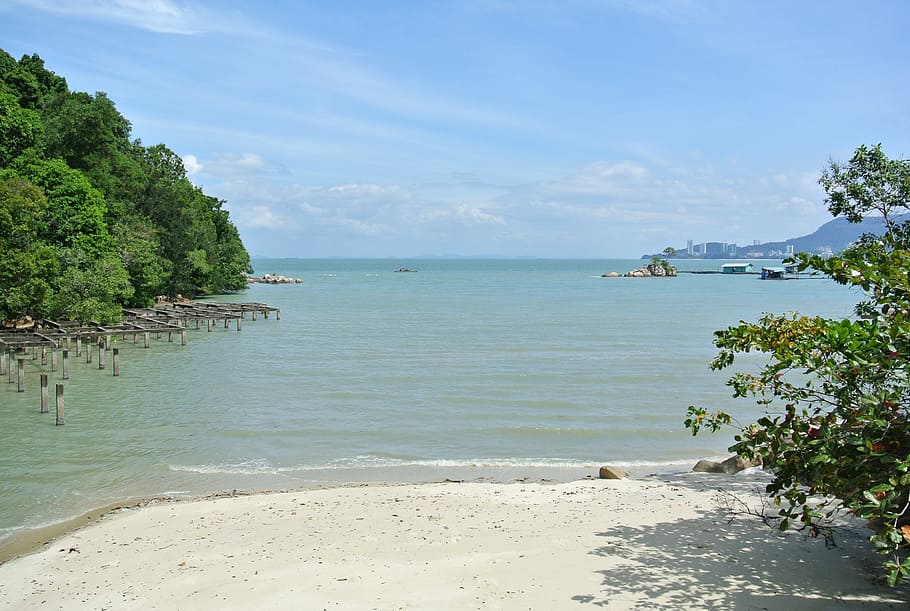 Penang, Malaysia, National Park, Tropical, Beach, Tropics, - Penang Sea Beach - HD Wallpaper 