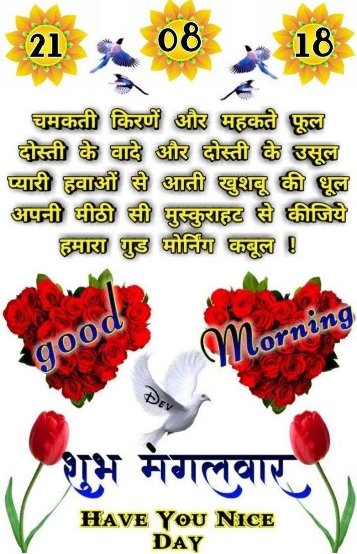 Good Morning 12 August - HD Wallpaper 