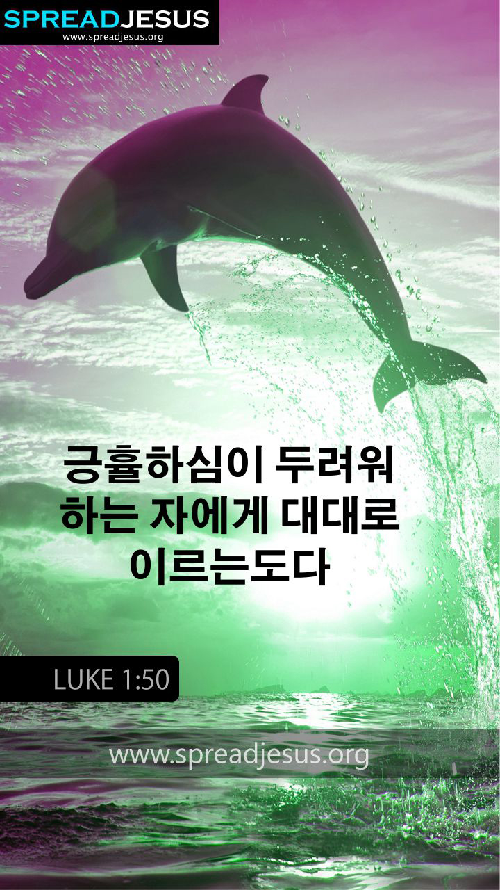 Korean Bible Quotes Luke - HD Wallpaper 