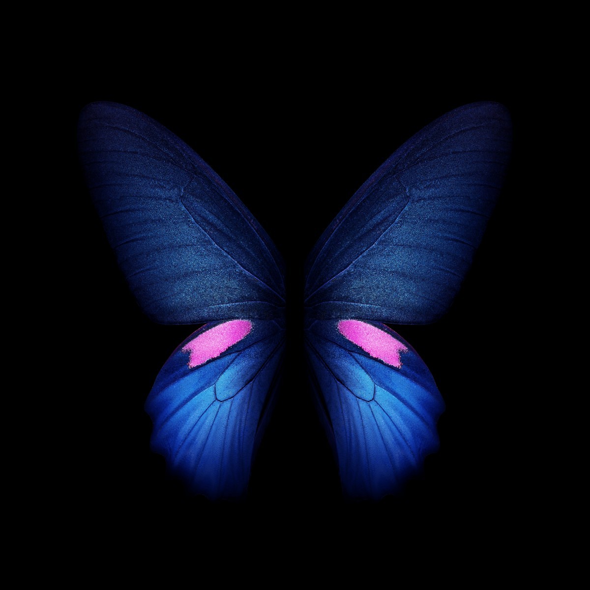 Hinh Nen Goc Galaxy Fold - HD Wallpaper 