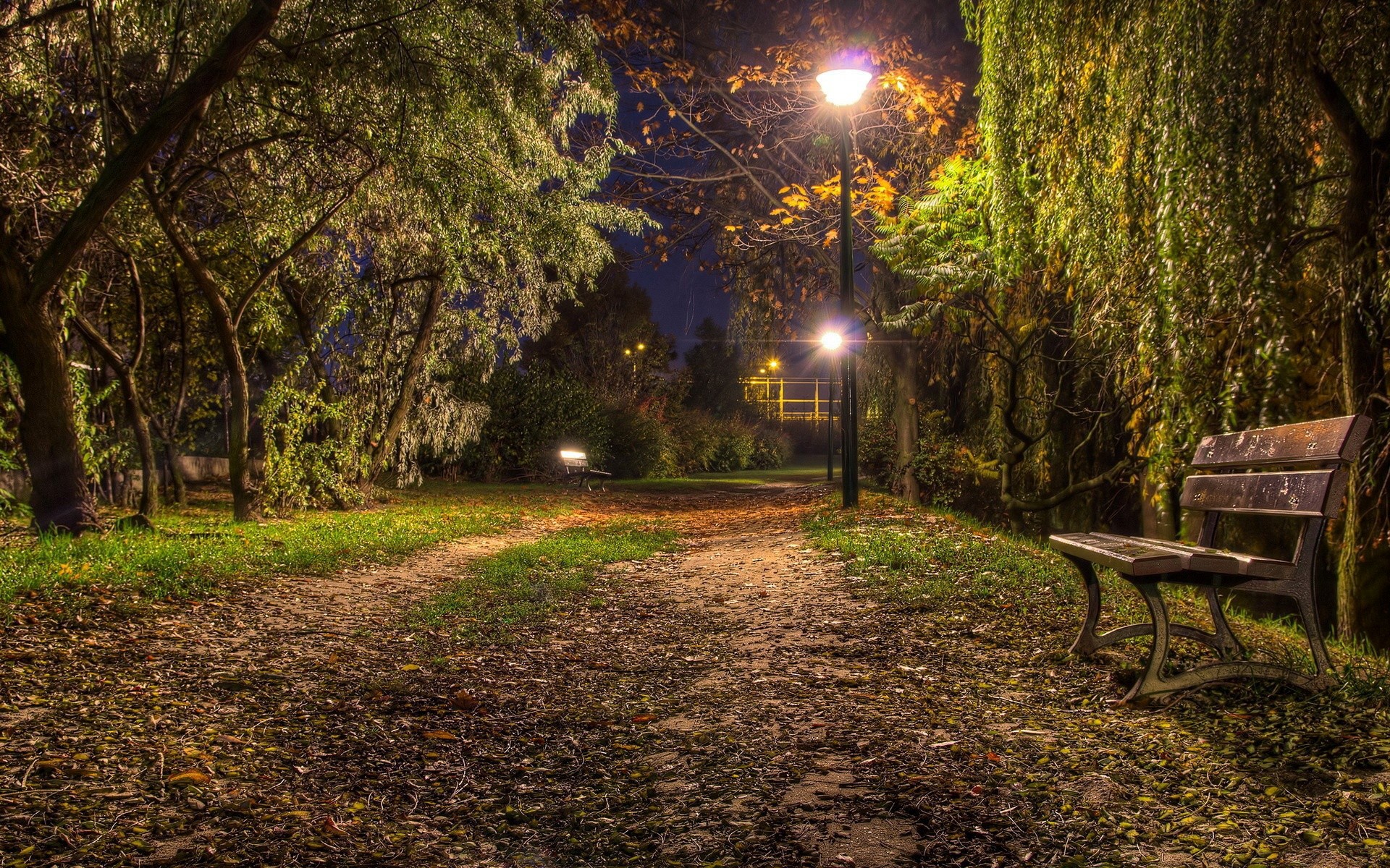 Nature Night Look And Bench Fantacy Wallpapers - 1920x1200 Wallpaper -  