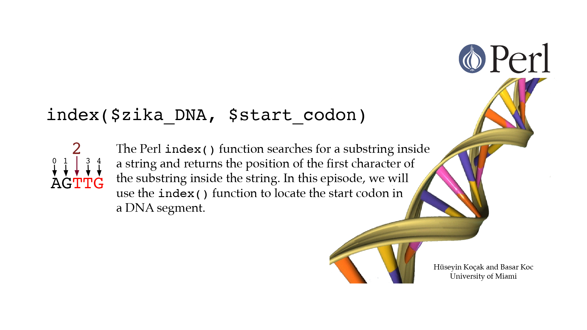 Shape Of Dna Called - HD Wallpaper 