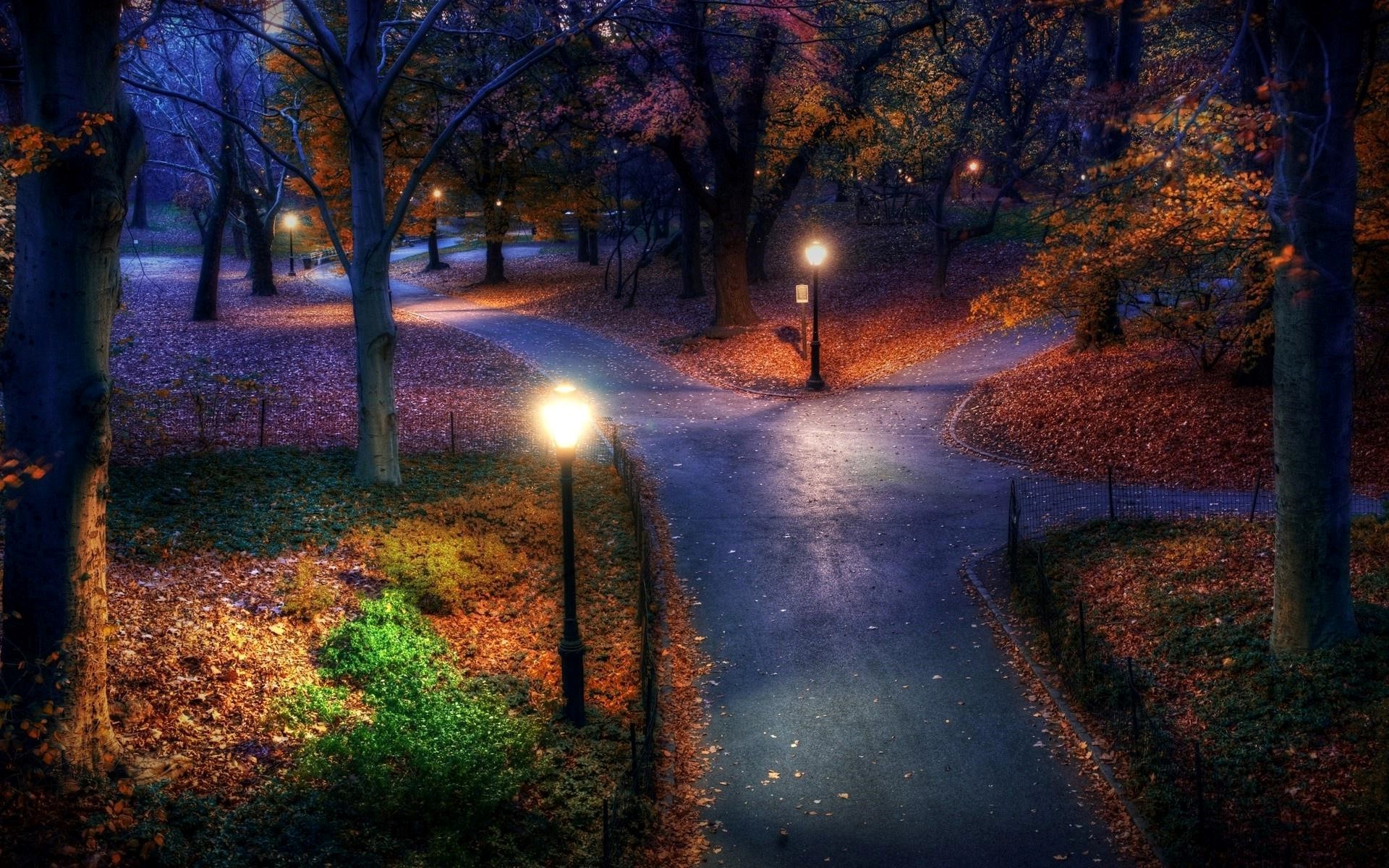 Nature Night View Look - Central Park Autumn Nights - HD Wallpaper 