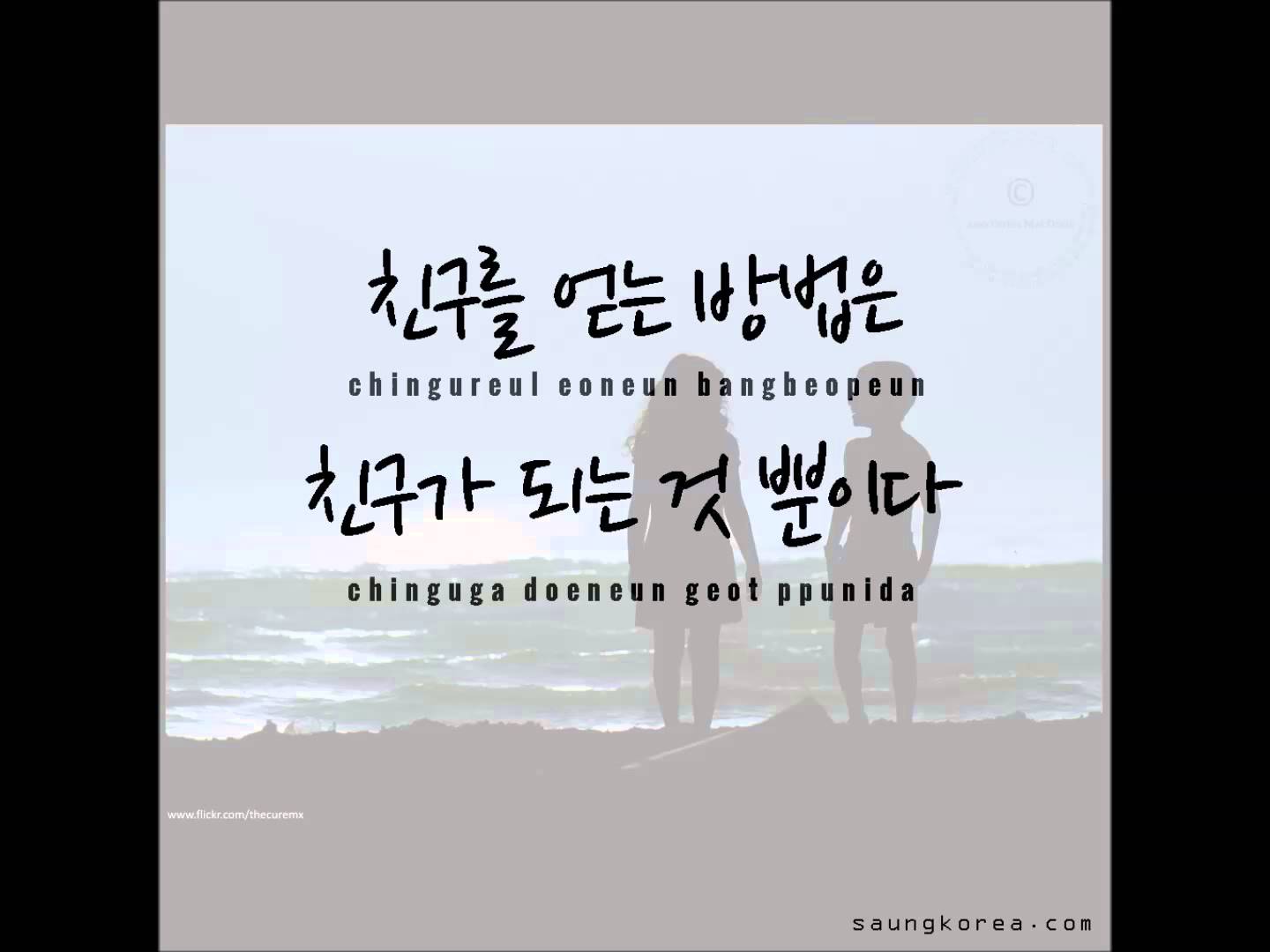 Korean Friends Quotes - HD Wallpaper 