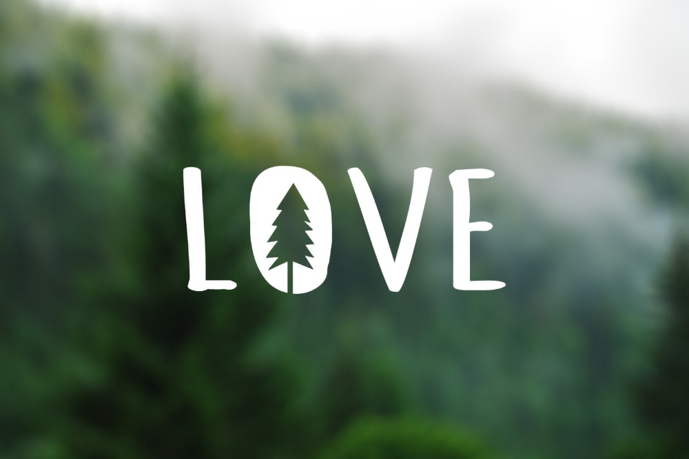 Tree - HD Wallpaper 