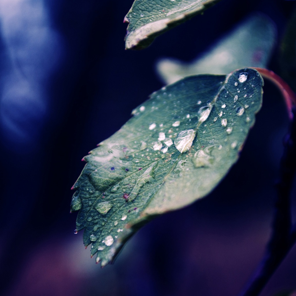 Water Droplets Background Hd - HD Wallpaper 