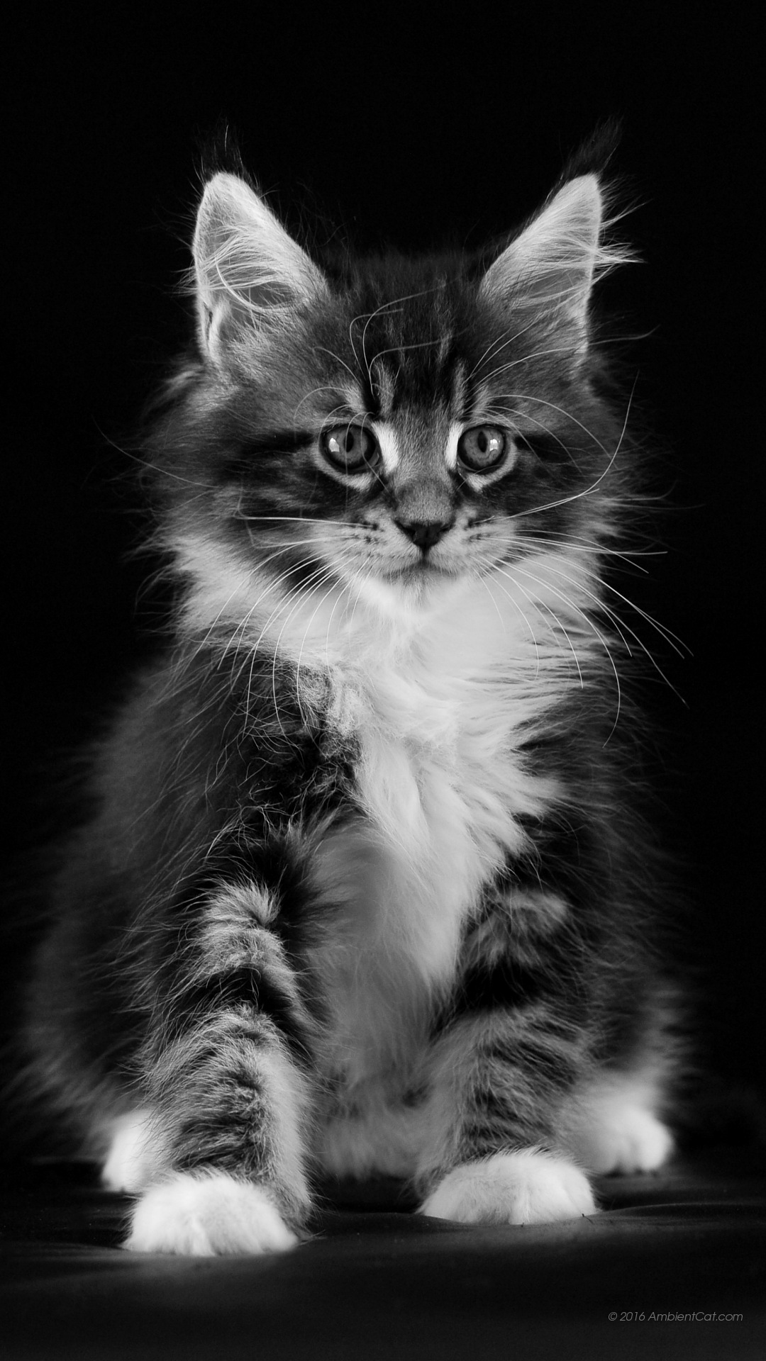 Samsung Galaxy J3 Background - HD Wallpaper 