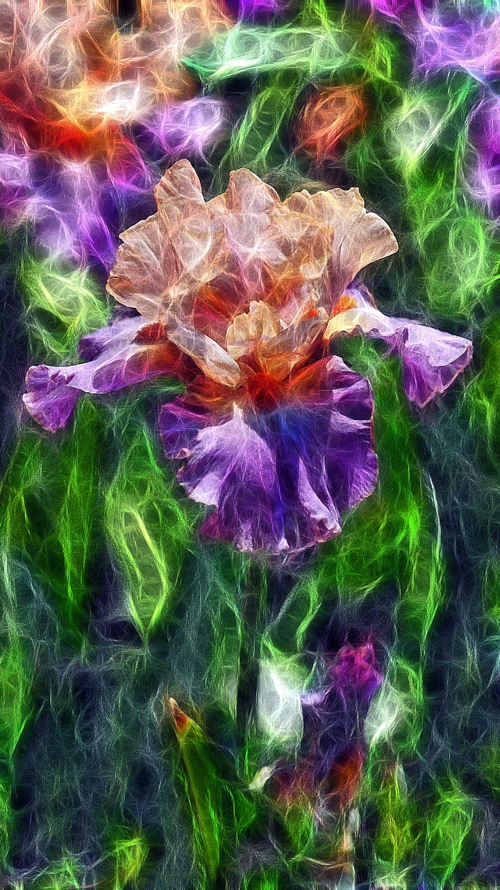 Wallpaper Terbaik Untuk Telefon Bimbit - Iris - HD Wallpaper 