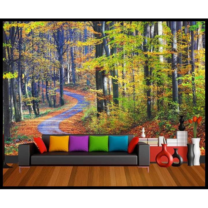 Winding Path In Forest - HD Wallpaper 