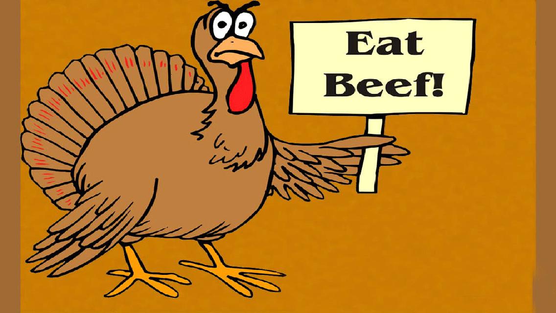 Funny Thanksgiving Desktop Wallpaper - Thanksgiving Funny - HD Wallpaper 