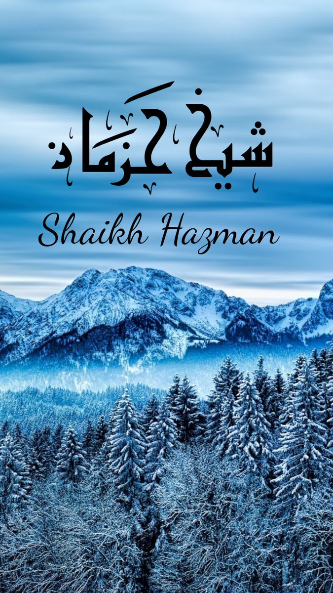 Winter Forest - HD Wallpaper 