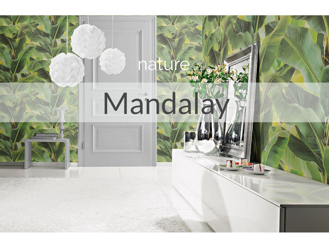 Verdes Papel De Parede Com Folhagens - HD Wallpaper 