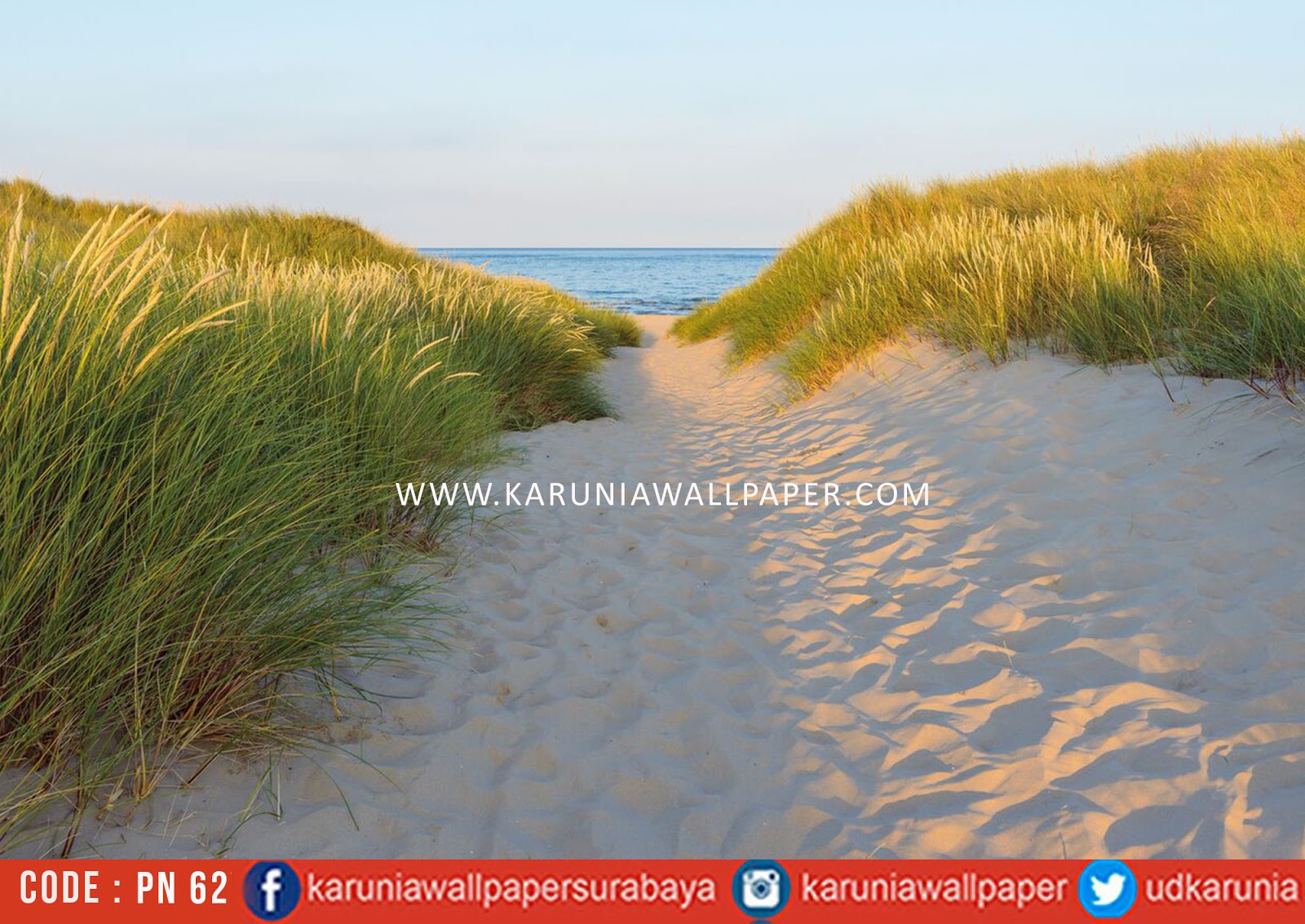 Jual Photowall - Fototapete Weg Zum Strand - HD Wallpaper 